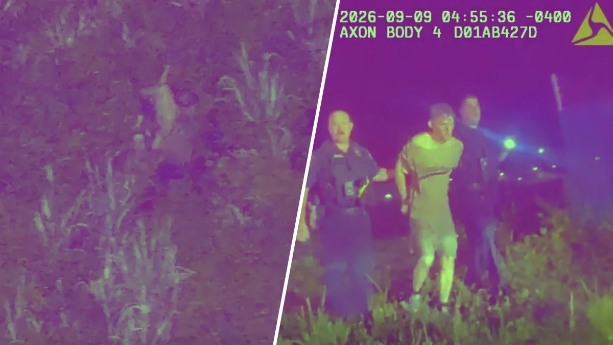 Police officers rescuing a driver and two children from a swamp after a crash in Florida