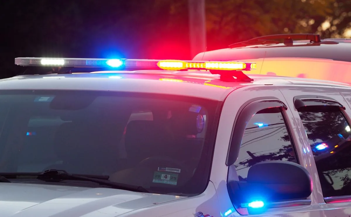 Police investigate a deadly Florida crash linked to an alligator and hit-and-run